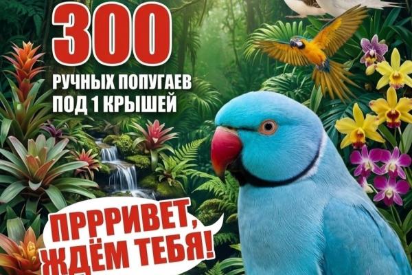 Попугайня